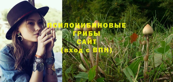 гидра Яранск