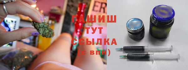 гидра Яранск