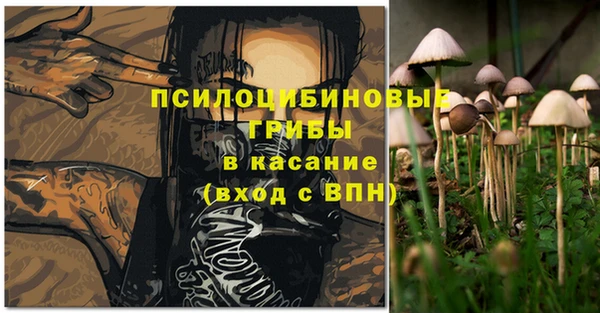 гидропоника Арсеньев