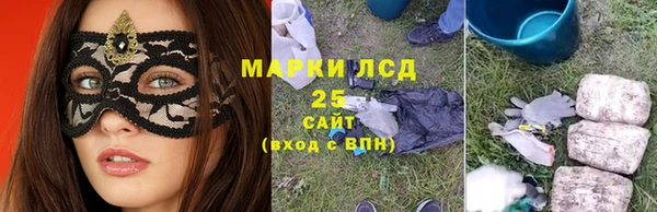 гидра Яранск