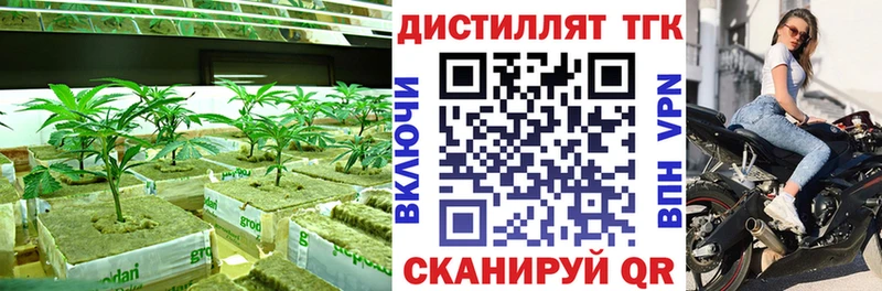 darknet формула  Махачкала  Дистиллят ТГК THC oil 