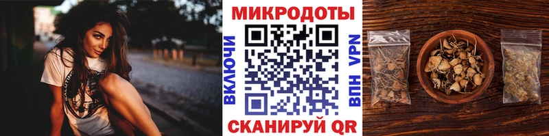 Галлюциногенные грибы ЛСД  Махачкала 