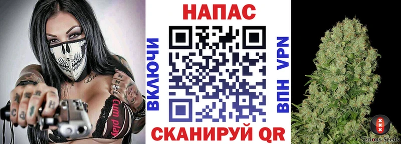 закладки Махачкала Канабис сатива